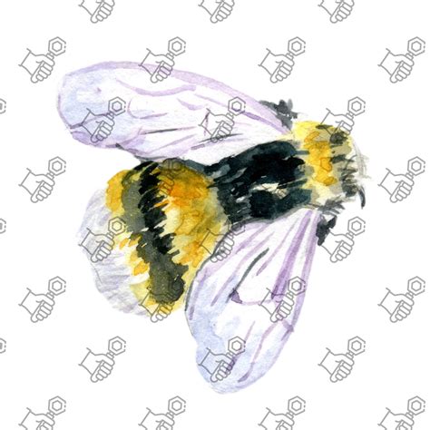 Bee Svg Bee Prints Clipart Bundle - Etsy