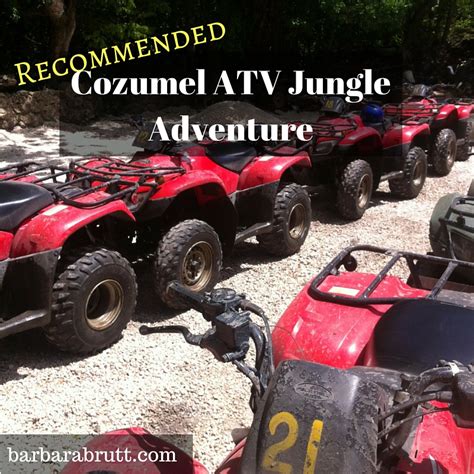 Recommended: Cozumel ATV Jungle Adventure by Wild Tours