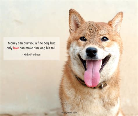 75 of the Best Dog Inspired Quotes - Puppy Leaks