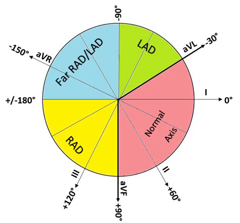 Pin on Cardiology