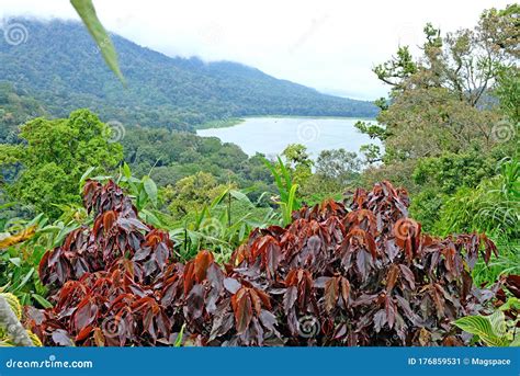 Lake Danau Buyan, Bali, Indonesia Stock Image - Image of beautiful ...