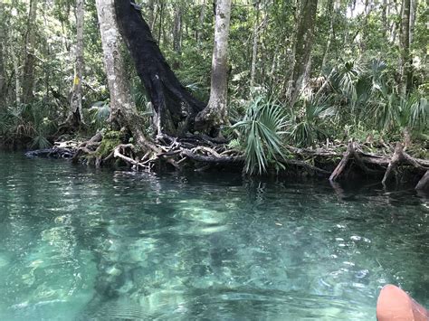 Weeki Wachee River, Weeki Wachee, FL, USA. Resolution [1920x1080] : r/EarthPorn