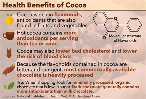 Health benefits of cocoa – TommieMedia