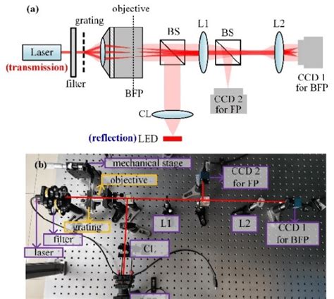 (a) Schematic diagram of the experiment setup (CL, collimating lens ...