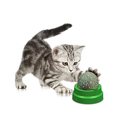 Catnip Toys Mint Ball Catnip Ball Playing Toy for Cat Pure Natural Mint ...