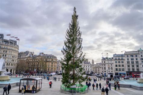 No new Christmas tree for Trafalgar Square | News - Hits Radio (London)