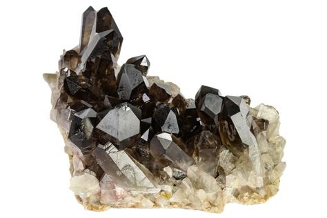 4.9" Dark Smoky Quartz Crystal Cluster - Brazil (#119550) For Sale - FossilEra.com