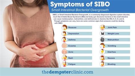 Is SIBO the Cause of your Gut Issues? Top Ways to Tell – The Dempster ...