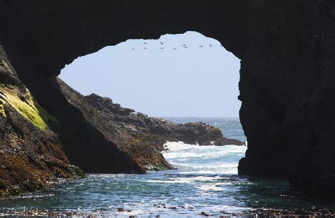 Mendocino Headlands Beaches in Mendocino, CA - California Beaches