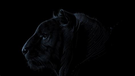 Tiger Dark Wallpapers - Wallpaper Cave