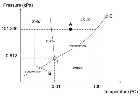 role de la lumière et de la température sur l'oxydation des aliments
