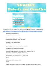 Samiira Noor - Snurfle Meiosis and Punnet Square Worksheet.pdf - Follow the link: You will ...