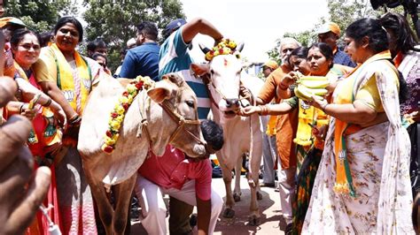 Congress Mulls Scrapping Cow Slaughter Ban In Karnataka, BJP Fumes; The Row Explained