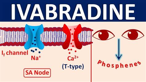 Ivabradine in Heart Failure - Mechanism, side effects, interactions & uses - YouTube