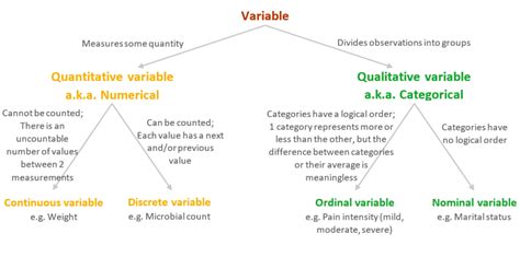 Identify Variable Types in Statistics (with Examples) – QUANTIFYING HEALTH