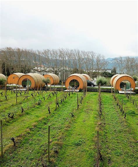 Quinta da Pacheca Hotel with Wine Barrel Suits | themindcircle