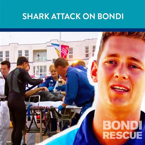 Shark Attack On Bondi | Bondi Beach | It's the most serious shark ...