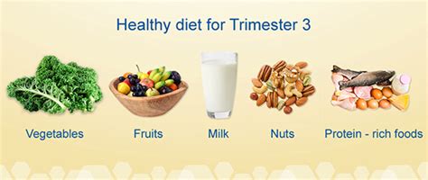 Third Trimester Nutrition Tips | Enfamama A+ Club