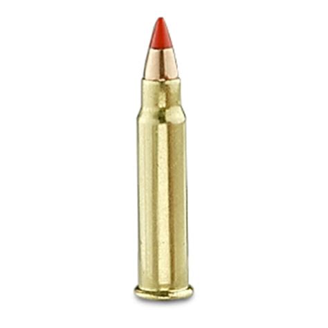 .17 HMR [Guide]: Best Ammo & Guns - Pew Pew Tactical