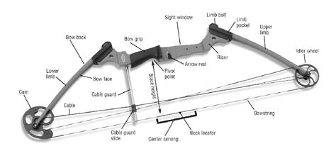 How Compound Bows Work And What You Need To Know To Shoot One