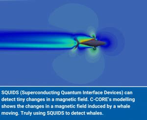 Applications of Quantum Sensors – C-CORE