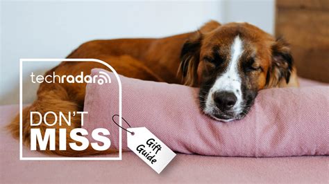 3 dog-approved pet beds to pamper your pooch this holiday season | TechRadar