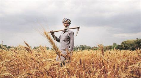 Impact of Agriculture in Bangladesh