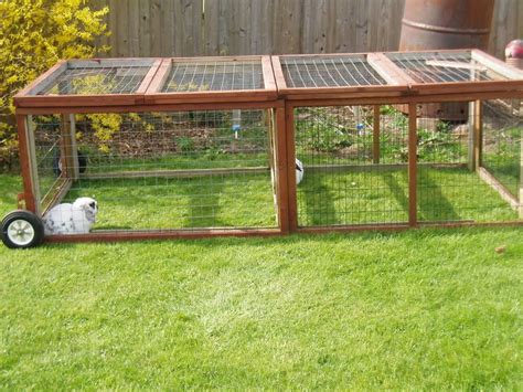 Ideas for an outdoor rabbit run | Rabbit enclosure, Rabbit run, Outdoor ...