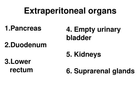 Functional anatomy of alimentary (digestive) - ppt download