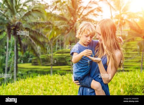 Mom and son on the rice field in the background of rice terraces, Ubud, Bali, Indonesia ...