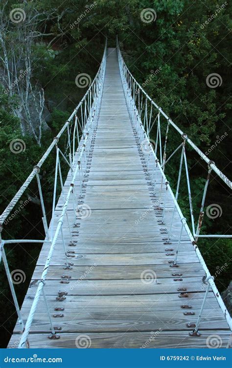 Swing Bridge stock photo. Image of park, path, ravine - 6759242