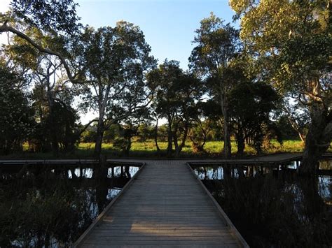 Eagleby Wetlands - Aussie Bushwalking