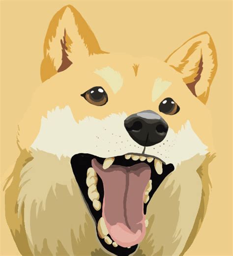 Doge by Kiraa1 on DeviantArt