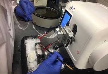 Microtome Sectioning of Tissue- RWD Science