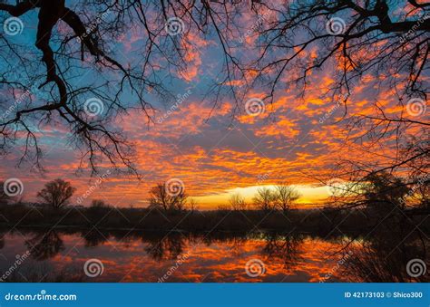 Sunrise Over The Lake With Reflection Of Bare Trees In The Water. Stock Photo - Image: 42173103