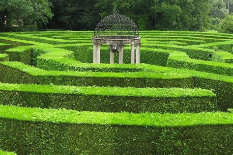 Leeds Castle Hedge Maze : The World S Most Magical Mazes : Above the ...