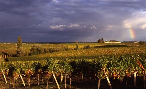 Bordeaux Wine-Tasting Breaks | Wexas Travel