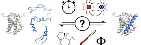 Intrinsically Disordered Proteins | The Clarke Group