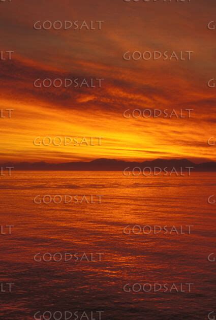 Golden Sunset over the Ocean - GoodSalt