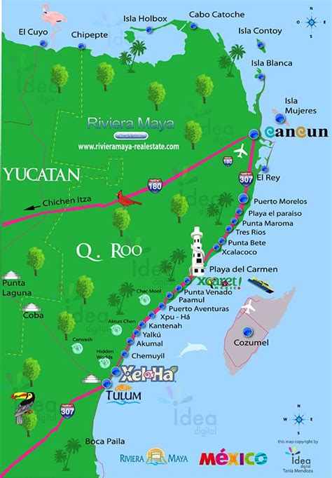 Riviera Maya | Mapa de cancún, Cancún méxico, Lugares magicos de mexico