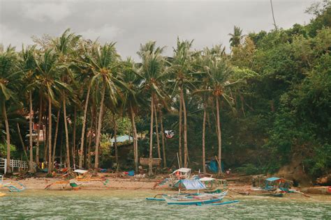 White and Blue Boat Bear Tropical Trees · Free Stock Photo