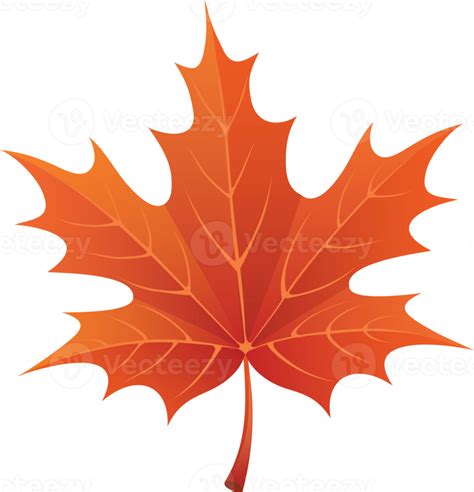 autumn leaves cutout 12629315 PNG