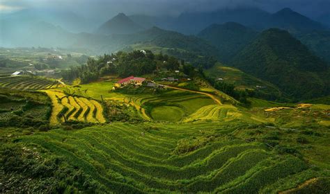 rice, Terraces, Vietnam, Mountains, Clouds, Terraces, Rice, Vietnam ...