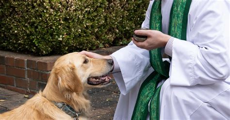 Blessing of the Animals | St. Anselm's Episcopal Church