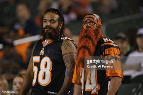 228 Cincinnati Bengals Mascot Photos & High Res Pictures - Getty Images