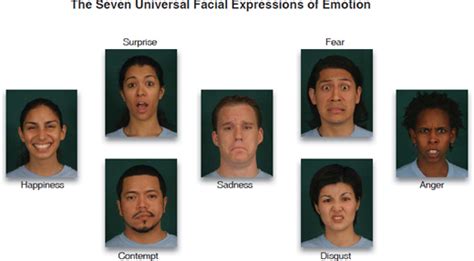 The Seven Universal Facial Expressions of Emotion — LEB