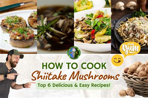 How to Cook Shiitake Mushrooms: Top Shiitake Mushroom Recipes