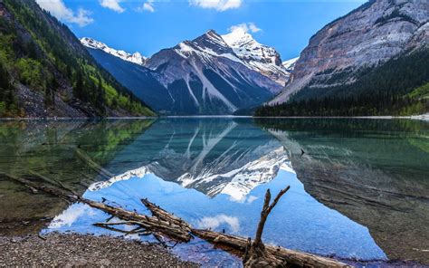 wood, Forest, Cliff, Mountain, Landscape, Reflection, Water, Lake ...