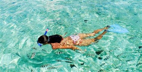 Puerto Morelos Snorkeling | The best Snorkeling in Riviera Maya ...