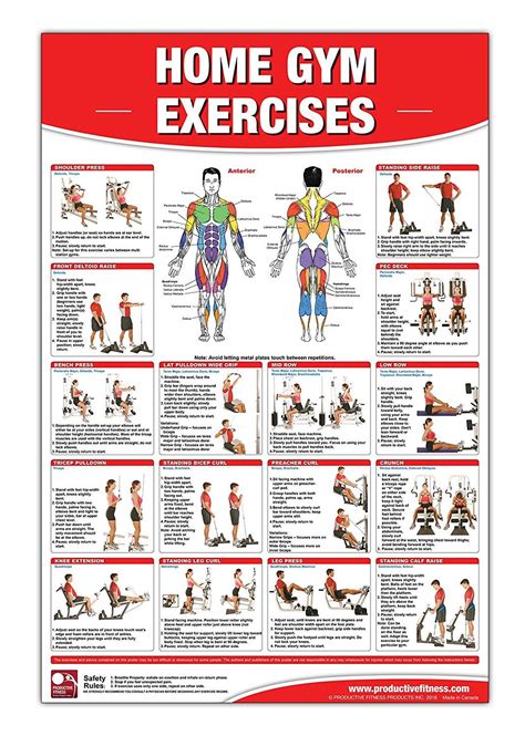 Gold's Gym Xrs 50 Workout Chart